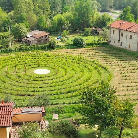 Agriturismo Il Poderetto Licciana Nardi Dış mekan fotoğraf