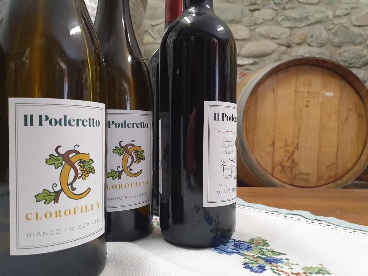 Agriturismo Il Poderetto Licciana Nardi Dış mekan fotoğraf