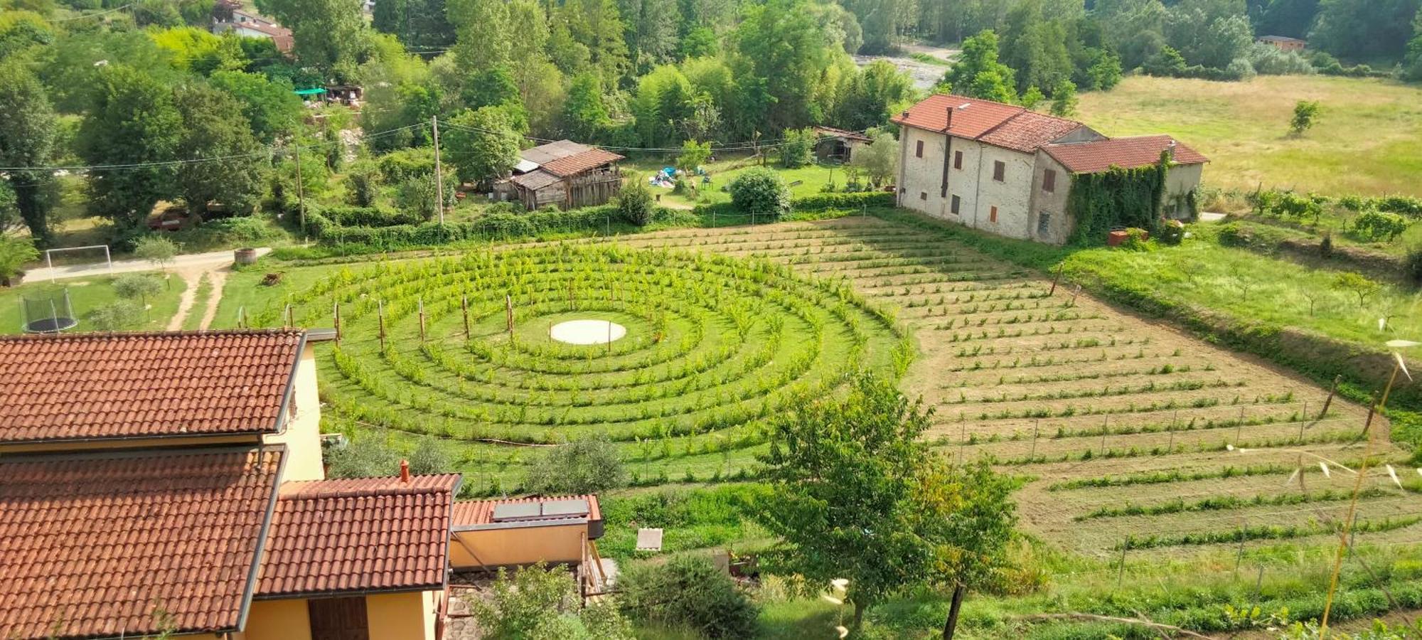 Agriturismo Il Poderetto Licciana Nardi Dış mekan fotoğraf