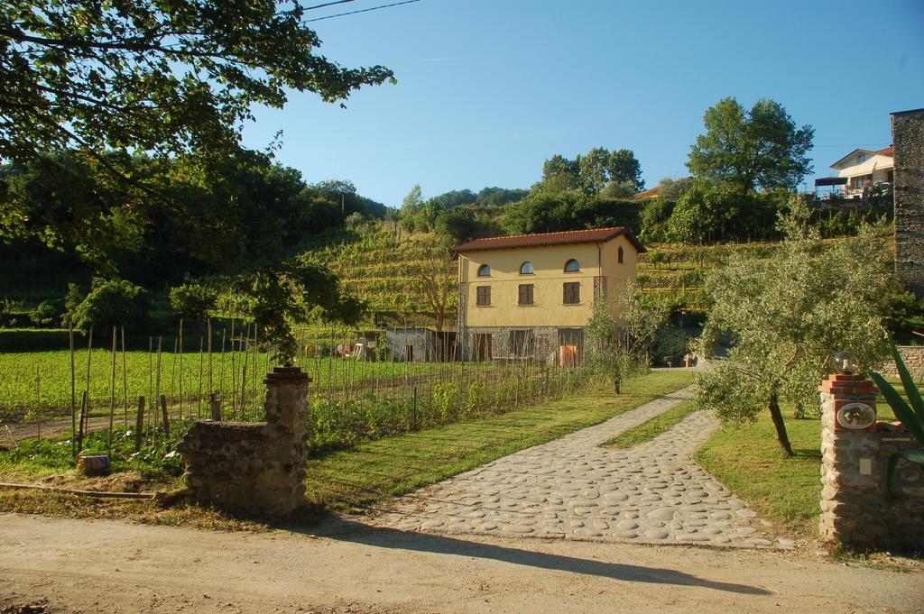 Agriturismo Il Poderetto Licciana Nardi Dış mekan fotoğraf